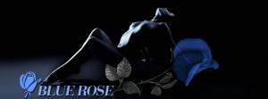 SEX SHOP  ΚΑΛΛΙΘΕΑ - BLUE ROSE
