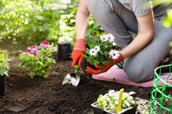 GARDEN SERVICE - ΚΑΤΑΣΚΕΥΗ ΚΗΠΩΝ ΠΥΛΑΙΑ ΘΕΣΣΑΛΟΝΙΚΗΣ - ΣΥΝΤΗΡΗΣΗ ΧΩΡΩΝ ΠΡΑΣΙΝΟΥ ΘΕΣΣΑΛΟΝΙΚΗΣ